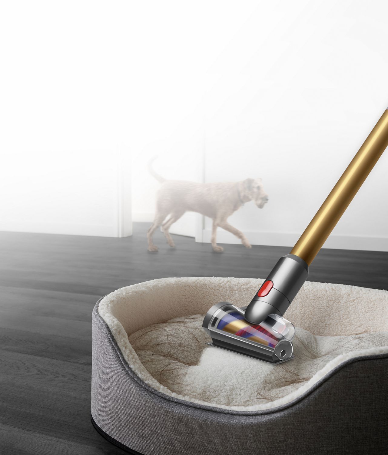 Hair screw tool cleaning a pet bed